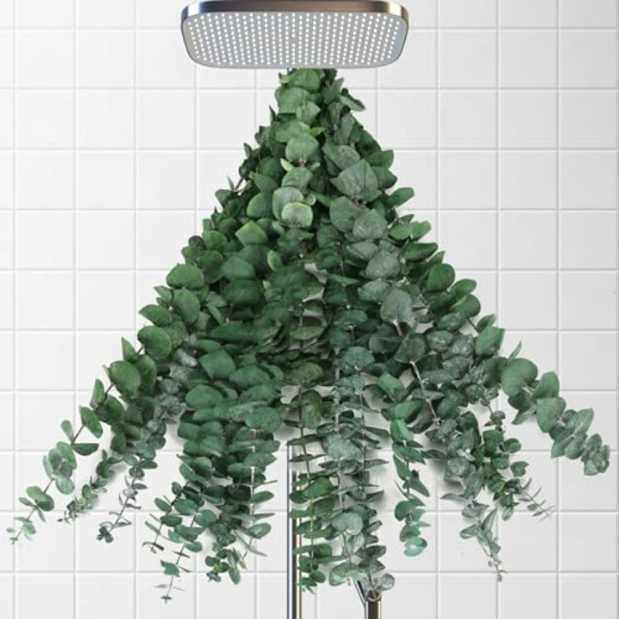 Home Fragrance Eucalyptus - أغصان أوكالبتوس مجففة للحمام، 17 بوصة