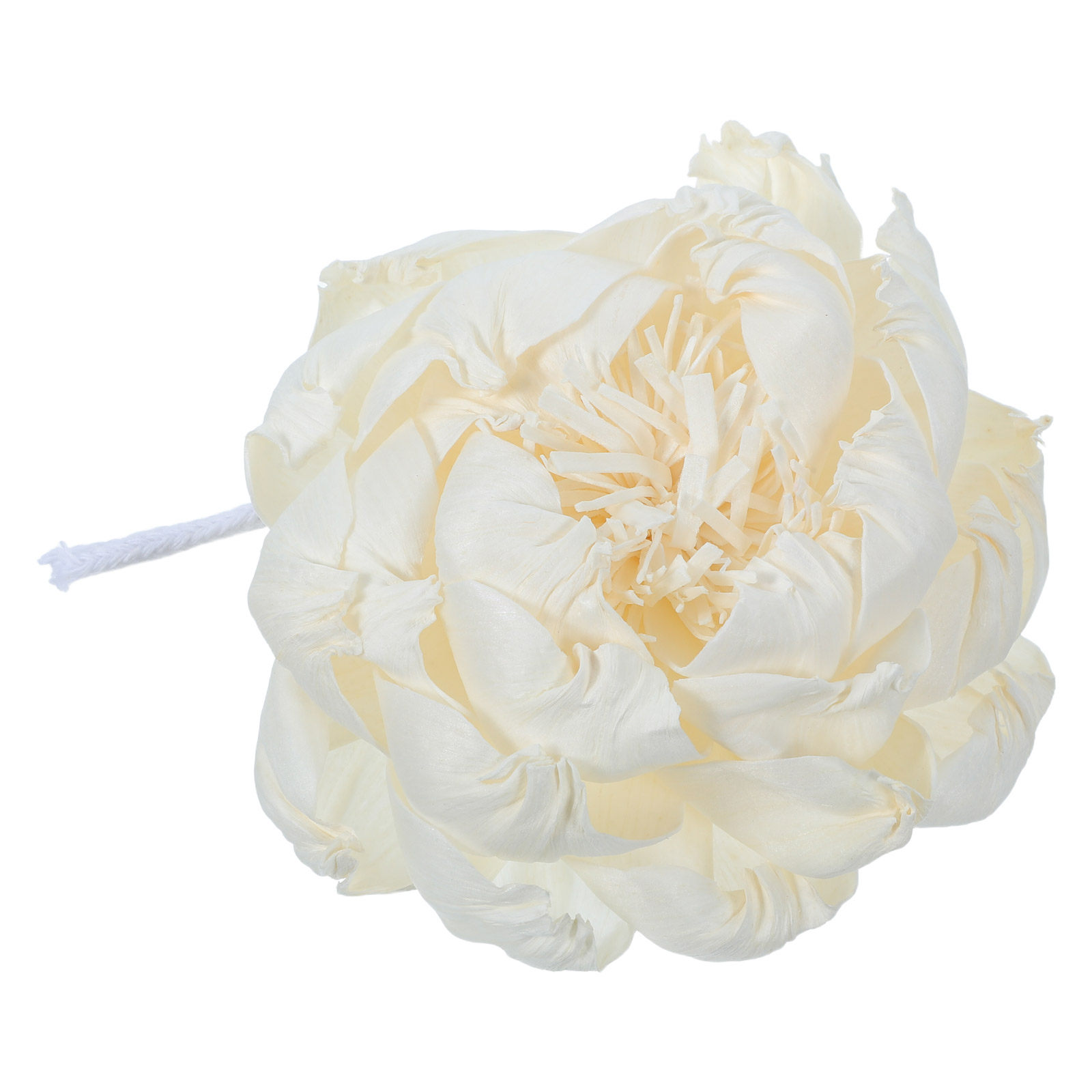 موزع عطر برائحة زهرة الفاونيا  - مراجعة Home Fragrance Aroma وسعره