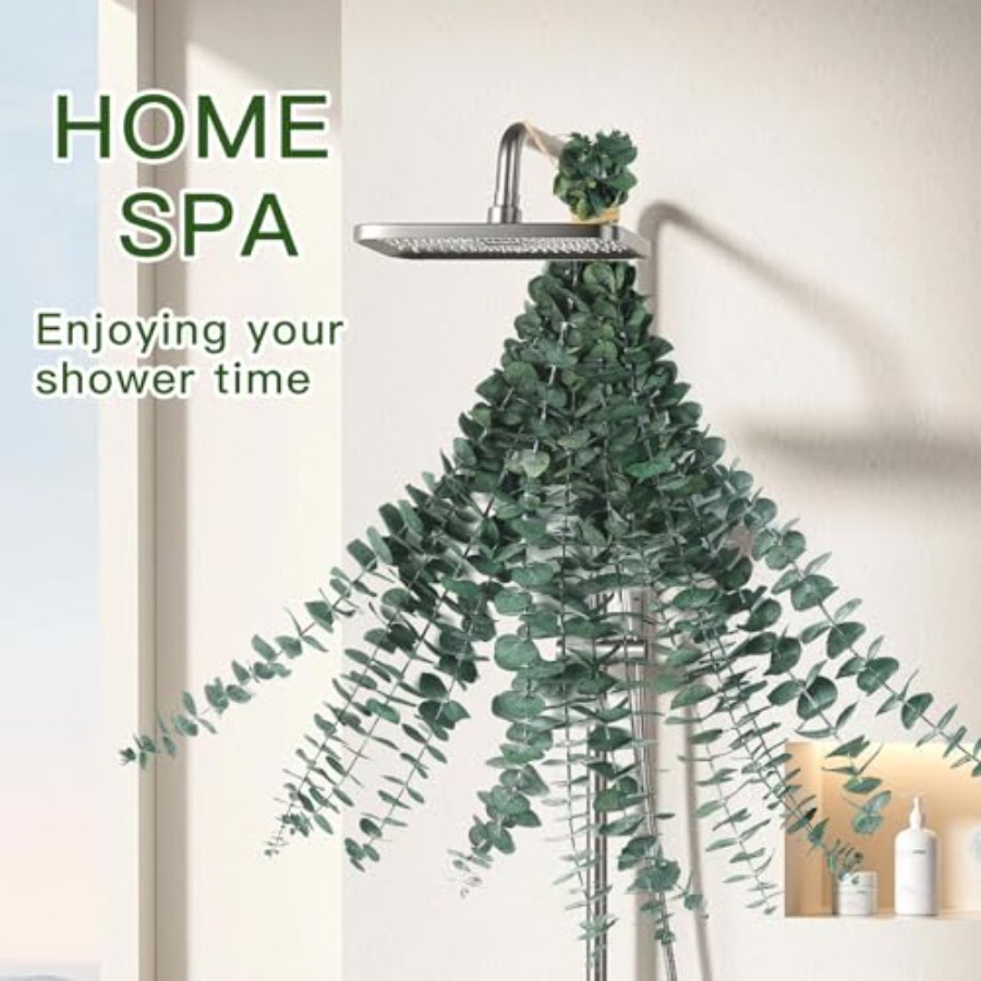 أغصان أوكالبتوس مجففة للحمام،  - مراجعة Home Fragrance Eucalyptus وسعره