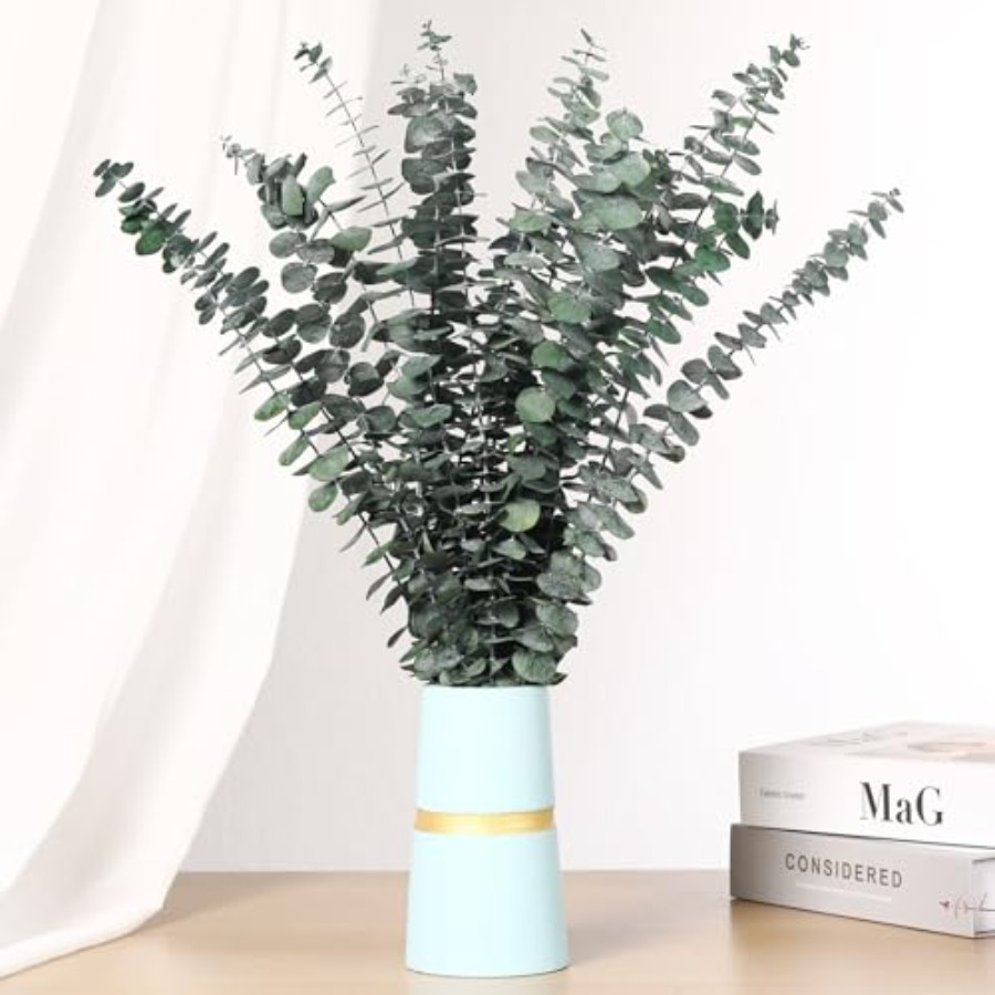أغصان أوكالبتوس مجففة للحمام،  - مراجعة Home Fragrance Eucalyptus وسعره