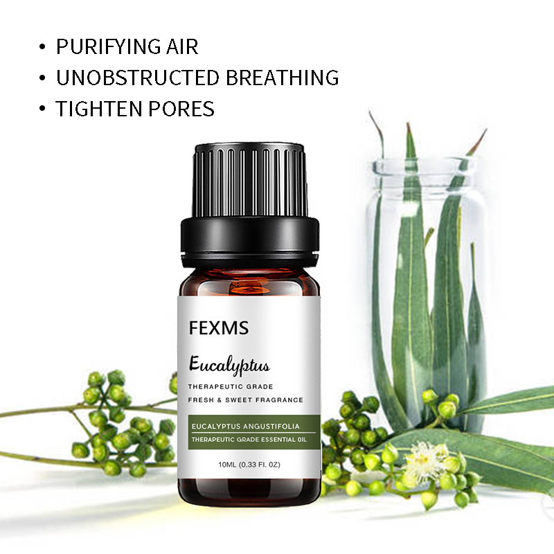زيت مستخلص من شجرة الكينا (100 - مراجعة Home Fragrance Eucalyptus وسعره