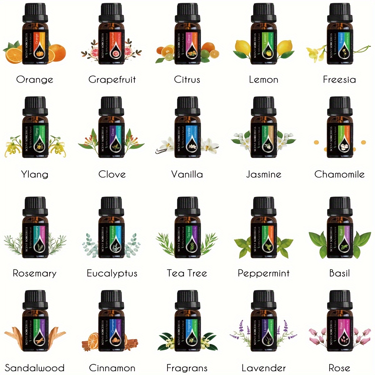 20 قطعة/المجموعة مجموعة الزيوت - مراجعة Home Fragrance Eucalyptus وسعره