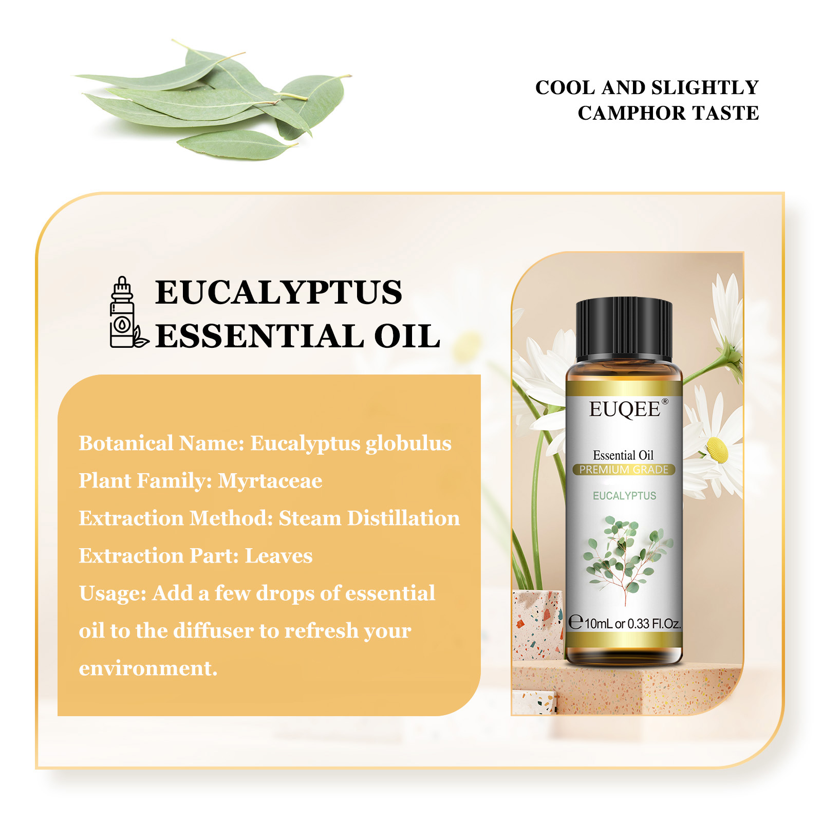EUQEE 10 مللي الزيوت العطرية ا - مراجعة Home Fragrance Eucalyptus وسعره
